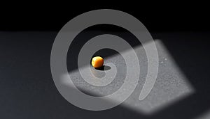 Single Yellow Chickpea on Slate