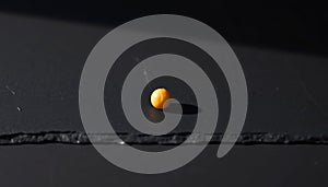 Single Yellow Chickpea on Slate