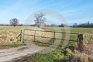 Simple iron fence at the edge of a meadow