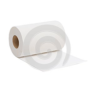 Kitchen or toilet paper photo