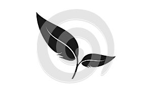 Simple leaf black colour vector