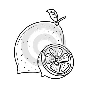 Simple Lemon, hand drawn outline vector illustration