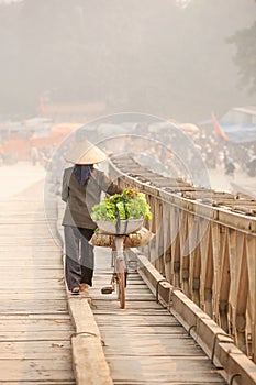 Simple life. Rear view of Vietnamese women with bicycle across the wooden bridge. Vietnamese women with Vietnam hat, vegetable on