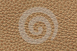Simple light brown leather texture.