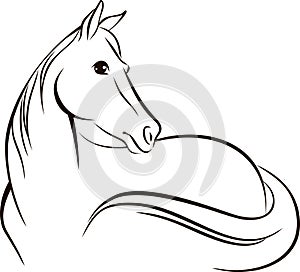 Simple line drawing of a horse