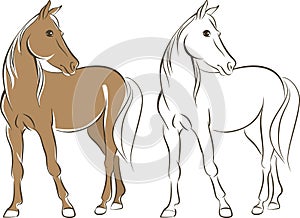 Simple line drawing of a horse