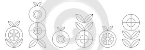 simple line icon. fruits, leaves, vegetable salad and flowers. white background. vector illustration. retro styled concept