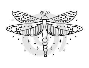 Simple linear hand drawing dragonfly. Insect with wings, boho tattoo. Vector illustration isolated on white background.