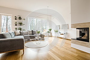 Simple living room interior