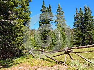 Simple log fence in Rocky Mountains