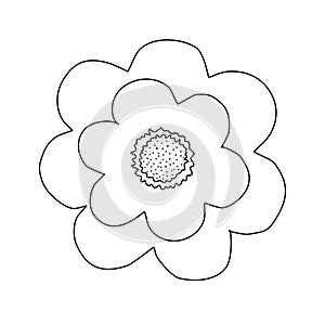 Simple meadow flower, doodle style flat vector outline illustration for kids coloring book