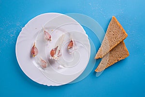 simple meal. bread and garlic