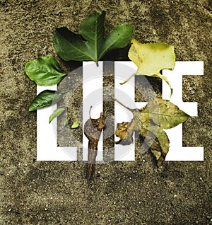 simple meaning of life