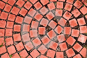 A simple method of Cobblestone. Walkway Texture.