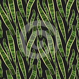 Simple minimal green snake plant leaves tropical seamless pattern. Black background.