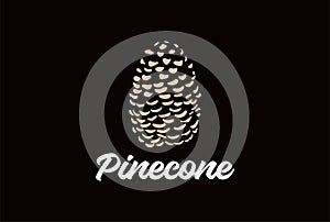 Simple Minimalist Dried Pine Cone Seed Logo Design
