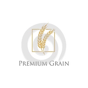 Simple Minimalist Luxury Golden Grain Wheat Rice