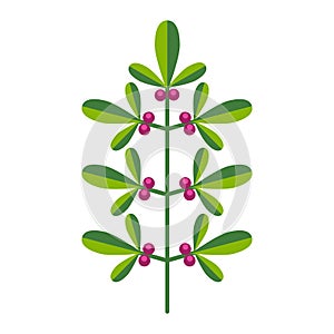 Simple minimalistic bright green branch with leaf and pink berries. Flower collection of colorful plants for seasonal