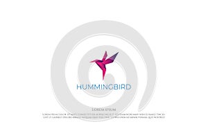 Simple Modern 3D Colibri or Hummingbird Logo Design Vector photo