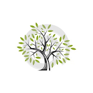 Simple and modern trees natural logo illustration 5