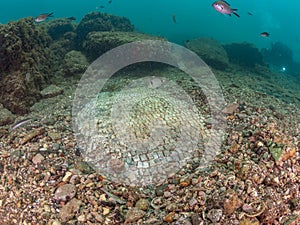 Simple mosaic in Emperor Claudioâ€™s Ninfeum. underwater, archeology