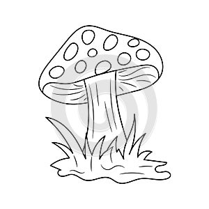 Simple Mushroom and grass with Hand drawn vector illustration