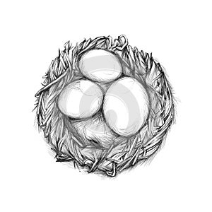 Simple nest with eggs