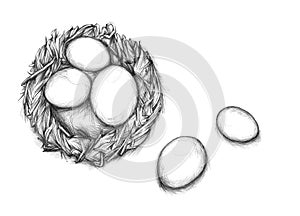 Simple nest and several eggs