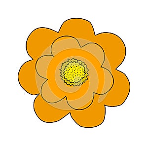 Simple orange meadow flower, spring design element, vector