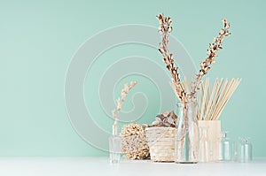 Simple organic beige wooden home decor with dried plants in glass bottles, twigs bunch, wicker basket in green mint menthe color.