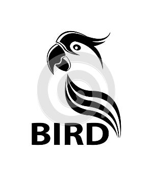 Simple parrot logo design vector