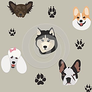 Simple pattern with dog heads and paw prints on gray