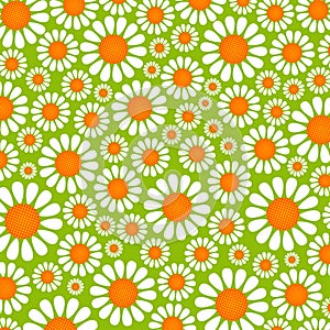 Pretty Summer Daisy Flower Surface Pattern
