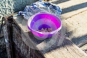 A simple purple plastic plate, outdoor tableware for feeding animals, cats and dogs, stands on dusty wooden planks