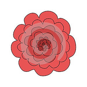 Simple red rose flower head, top view, spring design element, vector