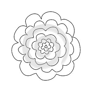 Simple rose flower head, top view, doodle style flat vector outline for coloring book