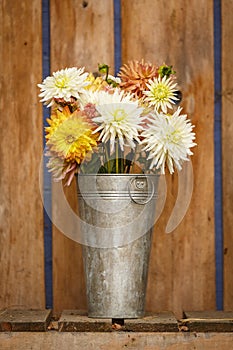 Simple, rustic country style fall autumn Thanksgiving season floral dahlia bouquet in galvanized metal vase home decorations