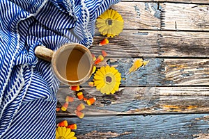 Simple rustic fall autumn arragement with a candy corn, sunflowers, striped blanket, coffee cup on a blue wood background