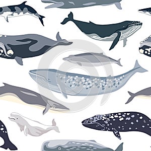 Simple seamless pattern with different whales.