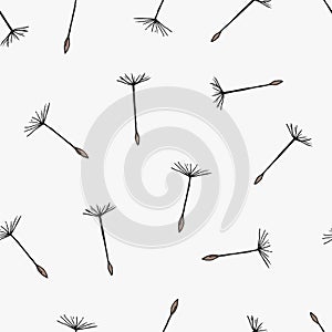 Simple seamless pattern with flying dandelion seeds or achenes on pappuses drawn on white background. Botanical vector photo