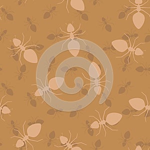 Simple seamless vector texture - ants photo