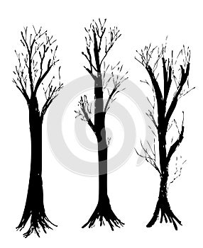Simple Set 3 Vector Hand Draw Sketch, Silhouette Big Dead tree