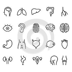 Simple Set of body parts Line Related Vector Icons.