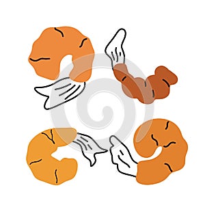 Simple Shrimp Illustration - Orange Hand-drawn Seafood for Creatives