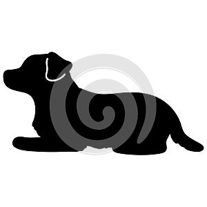 Simple silhouette of Jack Russell Terrier lying down