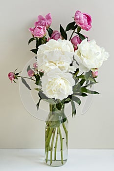 Simple sloopy flower bouquet of pink and white peonies flowers in a transparent vase over pastel background