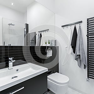 Small black and white bathroom with shower