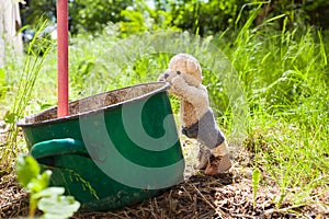 Semplice piccolo esterno Acqua spartiacque sul giardino 