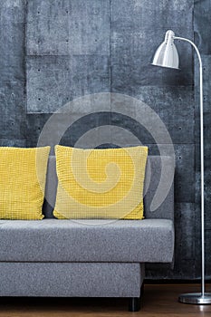 Simple sofa with yellow pillows