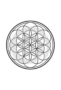 Simple Spiritual Flower of Life Black and White Illustration 1